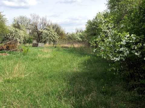 ділянка за адресою Соборна вул. (Петропавлівська), 23