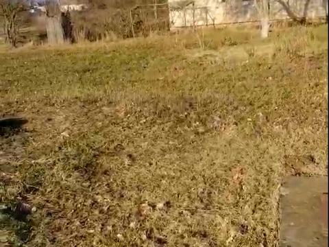 ділянка за адресою Леси Украинки