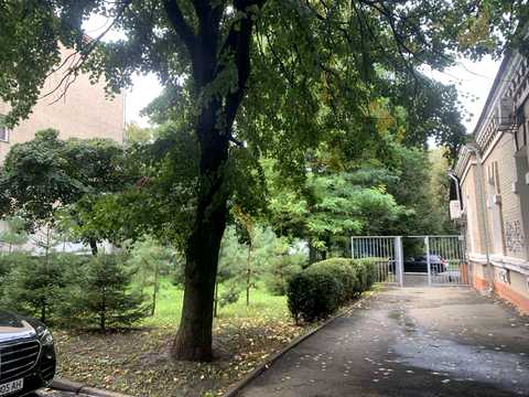 квартира за адресою Володимирська вул., 65