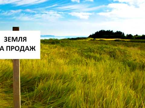 участок по адресу Персикова