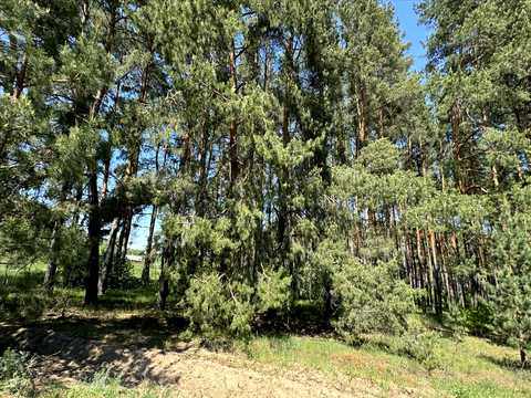 ділянка за адресою с. Микільське, центральна, 1