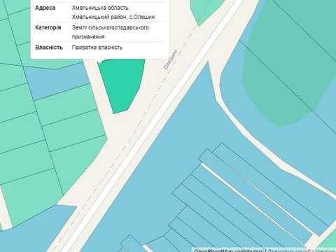 ділянка за адресою с. Олешин, пров. Центральний