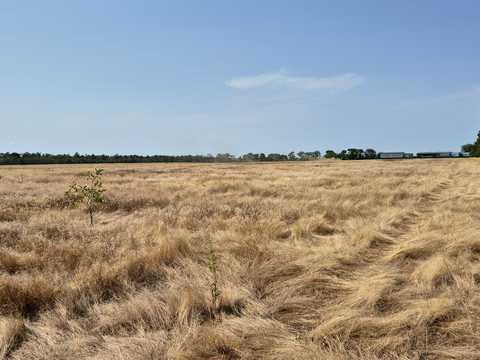 ділянка за адресою Траса М-05 Київ-Одеса