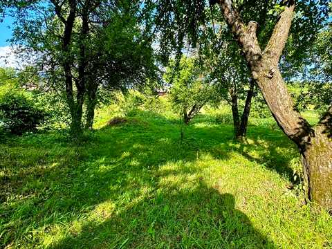 будинок за адресою с. Гончарівка, Шевченка, 58
