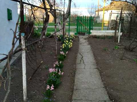 будинок за адресою Центральна