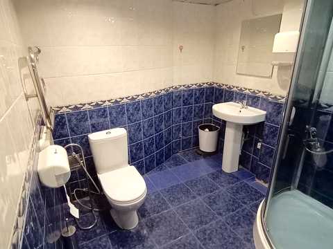 комерційна за адресою Італійська вул. (Пушкінська), 8