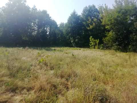 ділянка за адресою Шевченка, 16 а