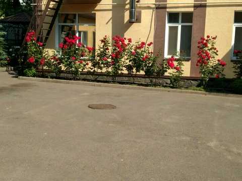 комерційна за адресою Васильківська вул., 29