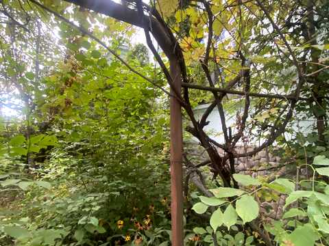 квартира за адресою Залізнична, 8