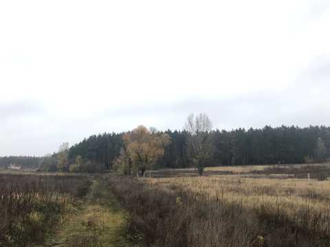 ділянка за адресою Романківська