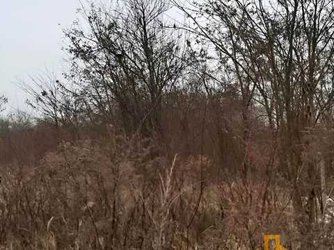 ділянка за адресою Тюльпанова