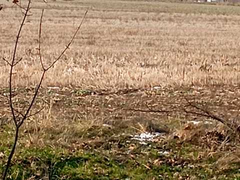 участок по адресу Академика Сахарова ул.