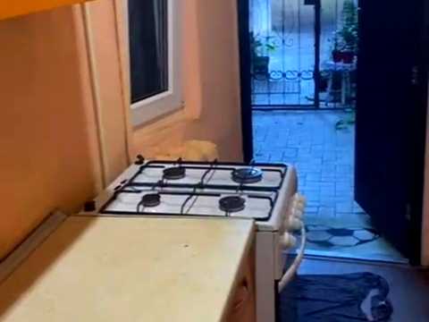 квартира за адресою Ніжинська вул., 39