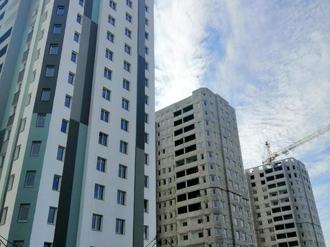 квартира по адресу Елизаветинская ул., 2-Б