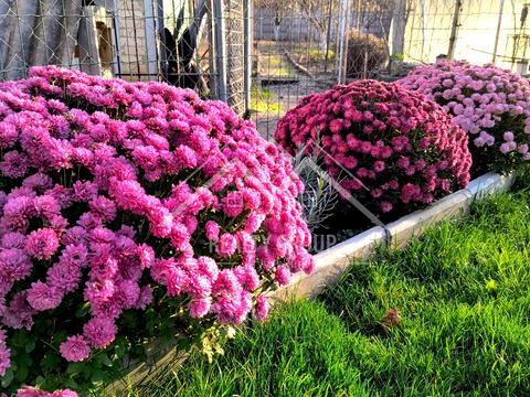 будинок за адресою Брунькова вул. (Аносова), 16