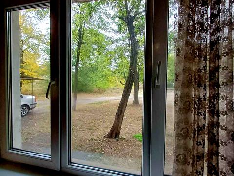 квартира за адресою Панаса Мирного вул., 29