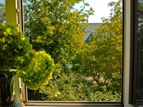 квартира за адресою Заводська вул., 18