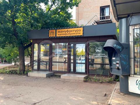 коммерческая по адресу Владимира Великого ул. (Олександра Поля), 21а