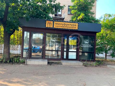 комерційна за адресою Володимира Великого вул. (Мелешкіна), 21а