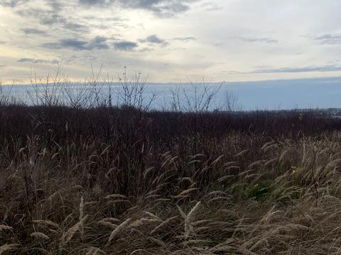 участок по адресу Стефаника ул.