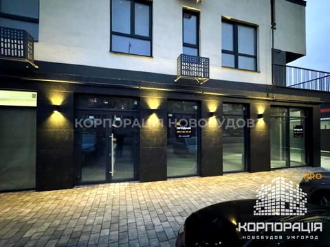 коммерческая по адресу Попадинця, 29-а