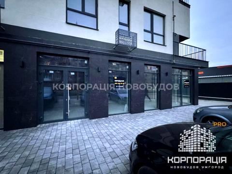 коммерческая по адресу Попадинця, 29-а