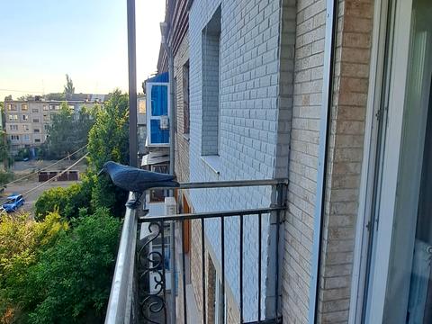 квартира по адресу Кривой Рог, Проспект Гагаріна, 31