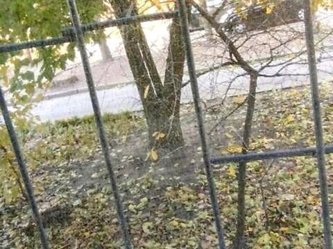 квартира за адресою Полякова вул., 3-Б