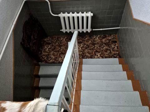 будинок за адресою Софіївська, 62