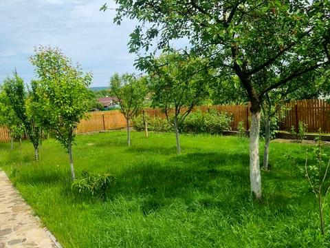 дом по адресу Независимости ул.