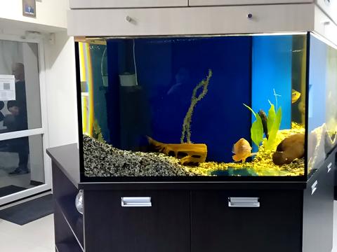 коммерческая по адресу Набережная Победы ул., 10-К