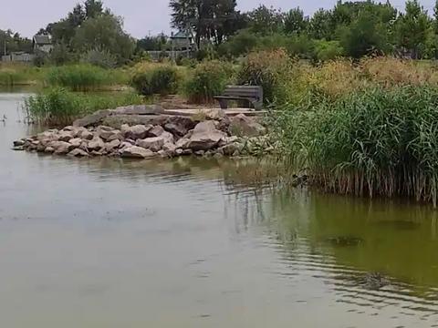 дом по адресу Самарівка