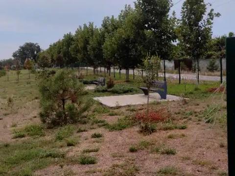 дом по адресу Самарівка