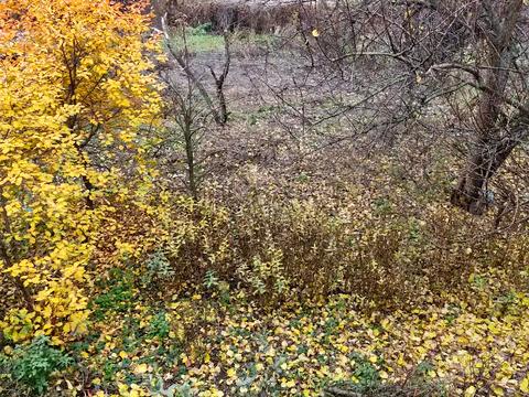 дом по адресу Доменная ул.