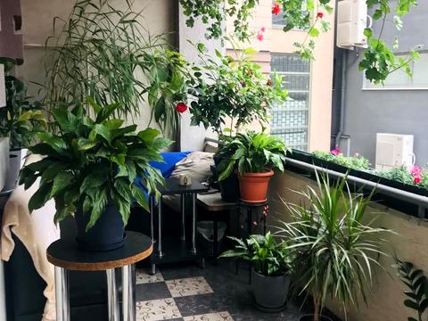 квартира за адресою Жупанатська пл., 5