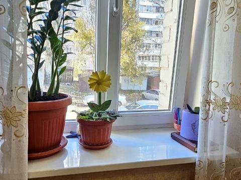 квартира за адресою Олімпійська вул., 26-А