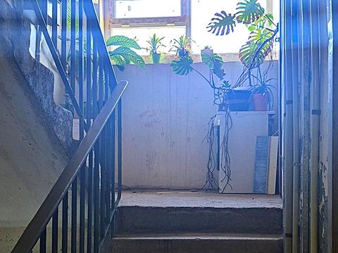 квартира по адресу Академика Филатова ул., 94