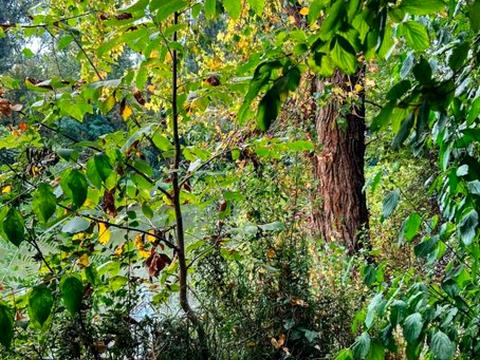 участок по адресу 