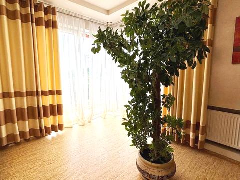 квартира за адресою Миколи Биха вул., 20а