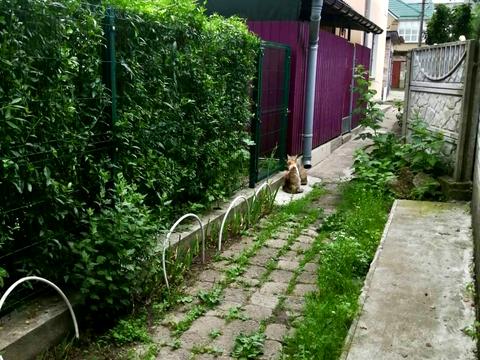 будинок за адресою Алли Горської вул. (Наримська), 96