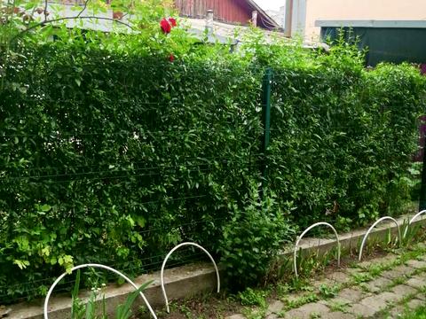 будинок за адресою Алли Горської вул. (Наримська), 96