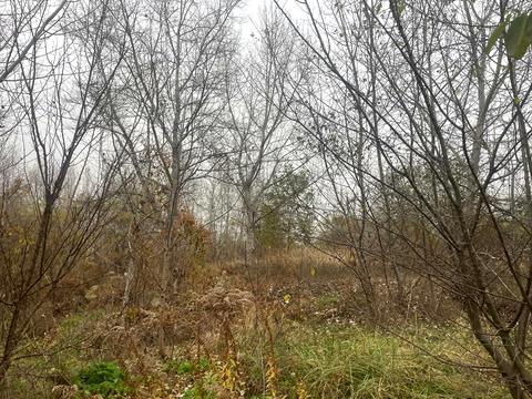 ділянка за адресою 