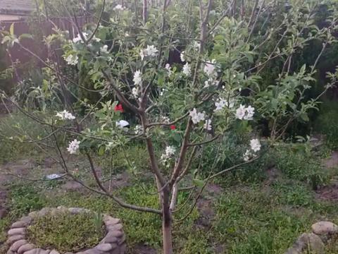 дом по адресу Алли Горської ул. (Нарымская), 44