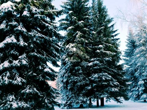 коммерческая по адресу Варненская ул., 7в