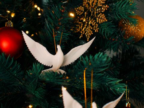 квартира по адресу Аркадиевский пер., 4