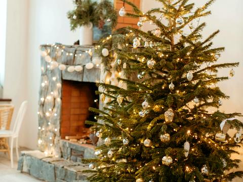 дом по адресу Зелена, 10