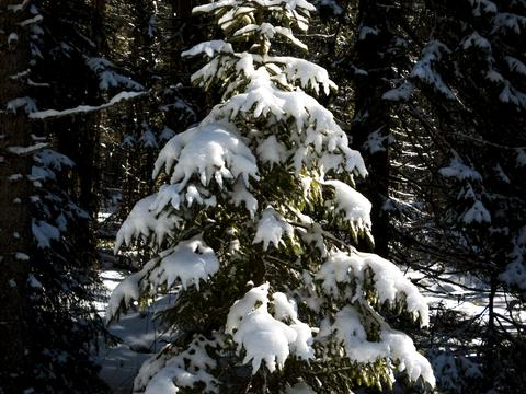 дом по адресу провулок Перова
