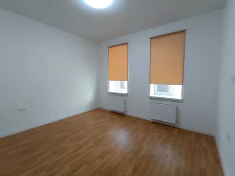 дом по адресу Полковника Горленко ул. (Революційна), 29