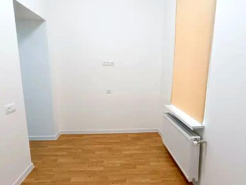 дом по адресу Полковника Горленко ул. (Революційна), 29