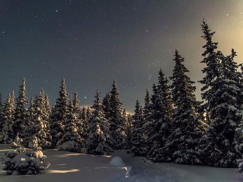 ділянка за адресою Нижняя, 6